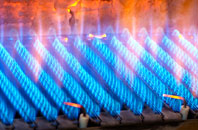 Bucklegate gas fired boilers